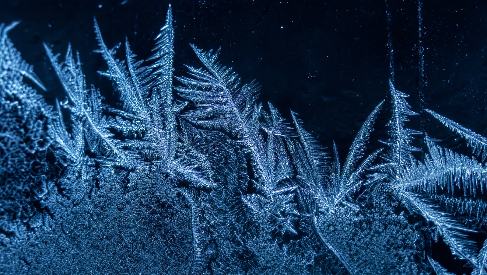 Abstract frost texture